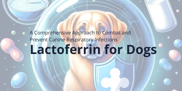 Lactoferrin for Dogs: A Comprehensive Approach to Combat and Prevent Canine Respiratory Infections - Lactoferrin Co.